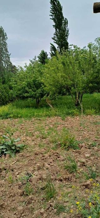 Срочно продаётся участок! Srochno uchastka sotiladi!