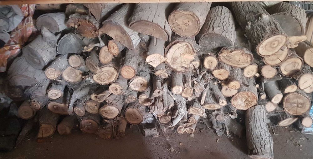 Продаются пеньки,  дрова.