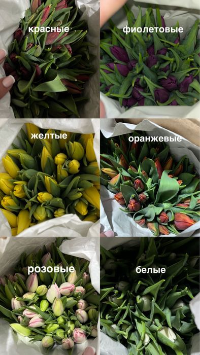 Тюльпаны костанай