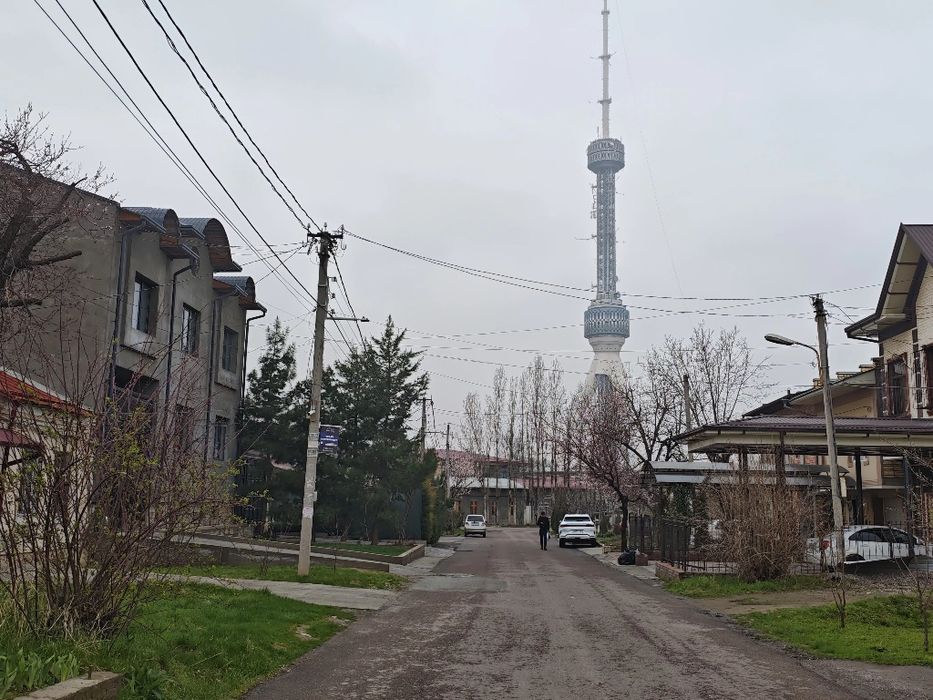 Bodomzorda uy sotuvda