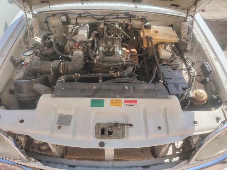 Volga31105 родной краска 2009г