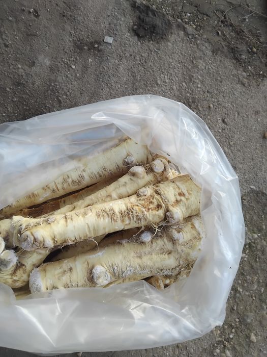 Vand hrean calitate superioara