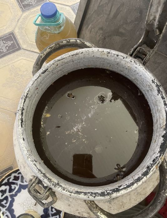 Toza asal dorigaham juda yaxsh shifo boladi