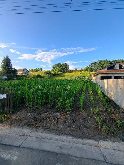 Teren 14 ari Moara Suceava, asfalt, utilități, 14 m deschidere, negoci