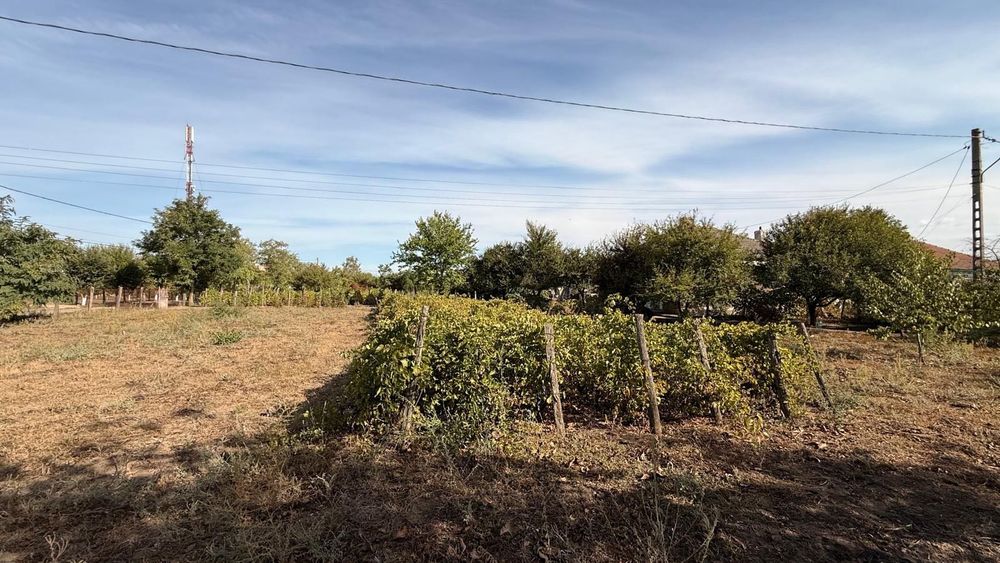 Casa si teren de vanzare