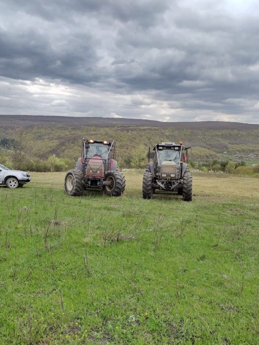 Curatam pasuni și terenuri împădurite