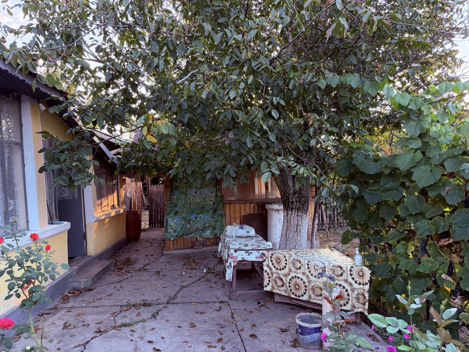 Casa de vanzare 2588mp