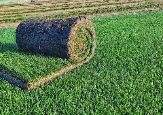 Gazon rulou PREMIUM , Sisteme de Irigare profesionale oriunde in tara!