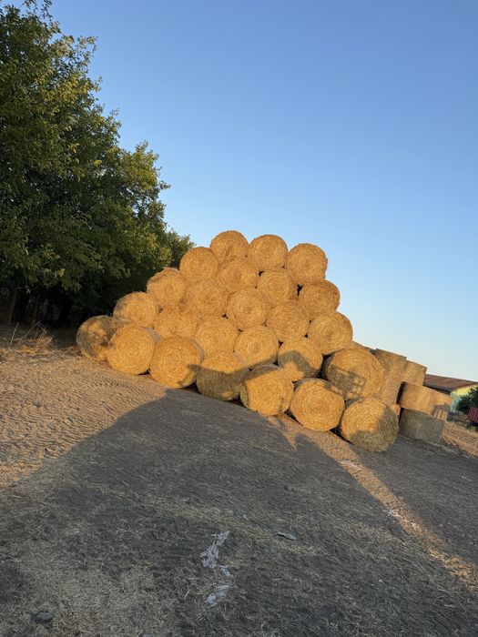 Продавам бали-слама