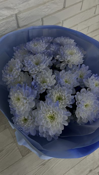 свежие цветы сегодняшнее