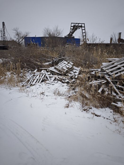 Дрова отдам даром