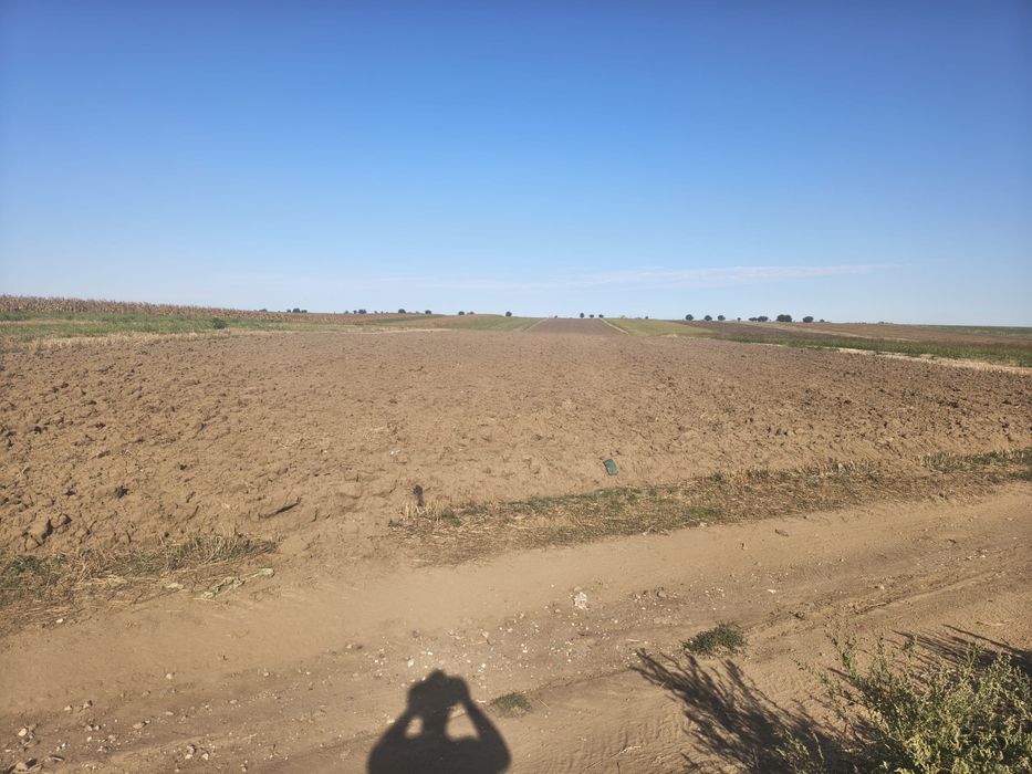 Teren arabil, extravilan Movilita