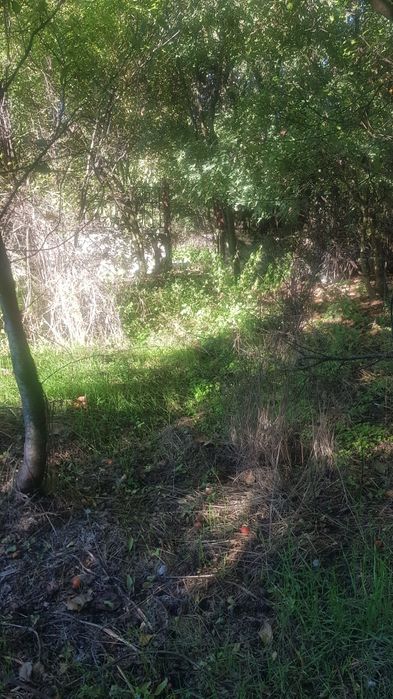 Продава се Къща в с. Паничерево, Област Стара Загора - 75 кв.м за 293 €/кв.м - Снимка #1