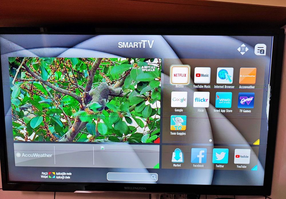 Tv SMART LED Wellington  80cm  - ecran  defect