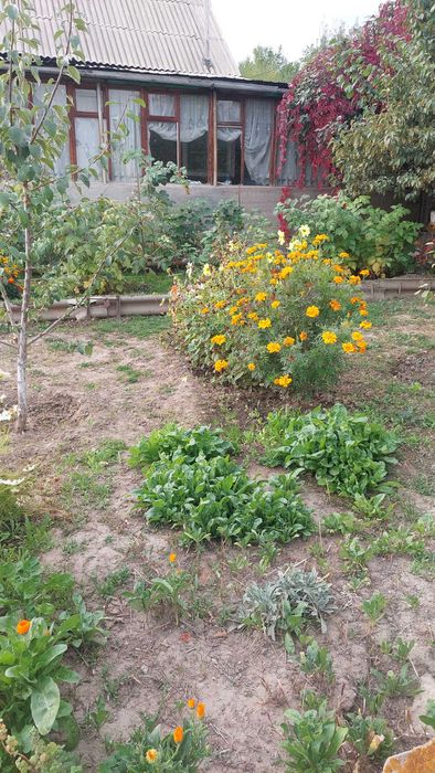 продам дачу каскелен