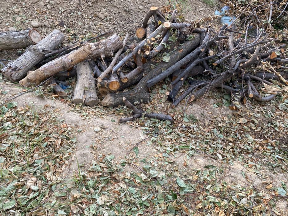 O’tin qalinlari kop