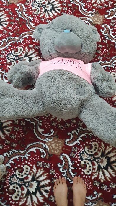 TEDDY  ayiqcha 1ta dona