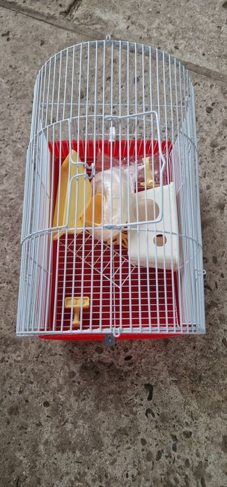 Vand cușcă hamster