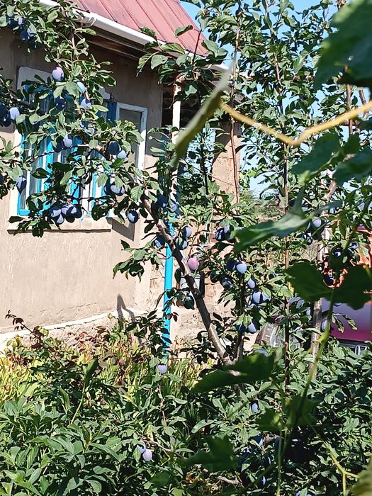 Дача зимняя продается