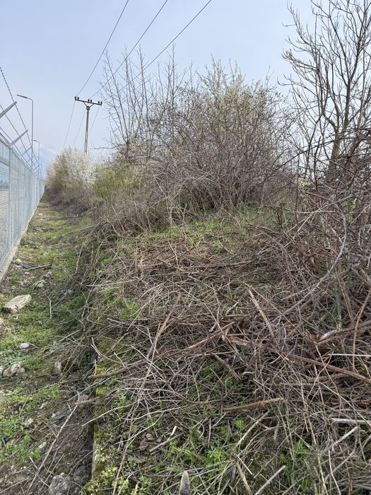 Intretinere / Amenajare spatii verzi , scarificare gazon , insamantare gazon.