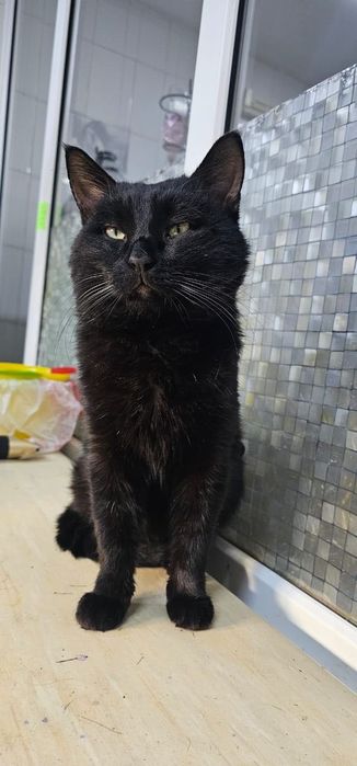 Добрая душа, откликнись!