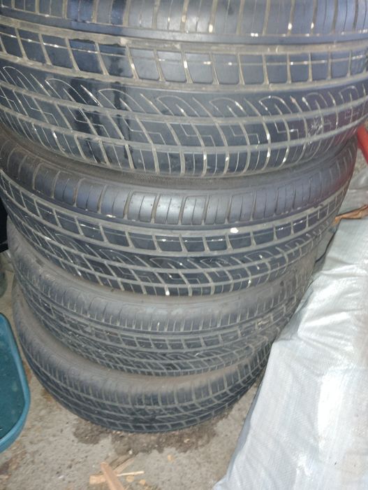 Продам ризину 16р