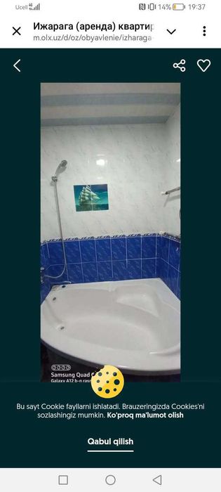 Ijaraga qizlar qo‘yiladi