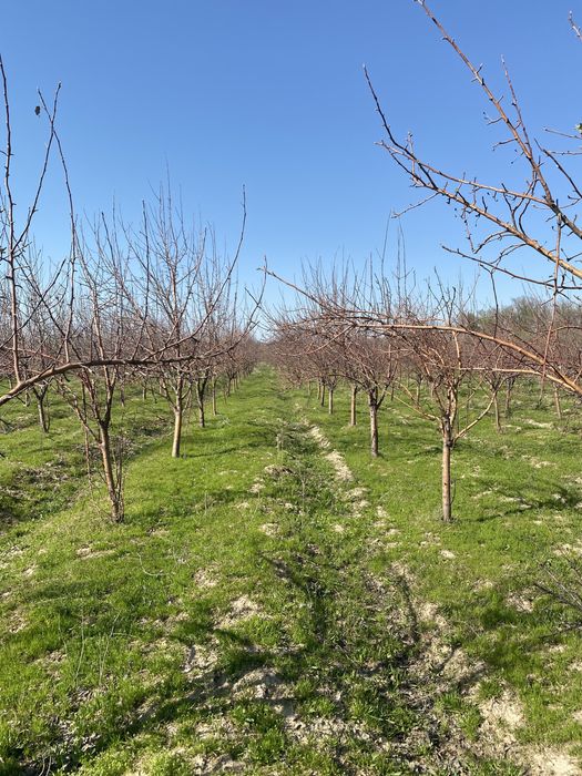 Участок на 4 гектара