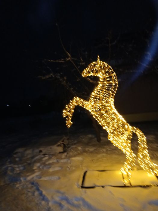 Символ 2026 года.