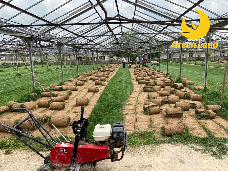 Газон (Gazon), Автополив, ландшафтный дизайн