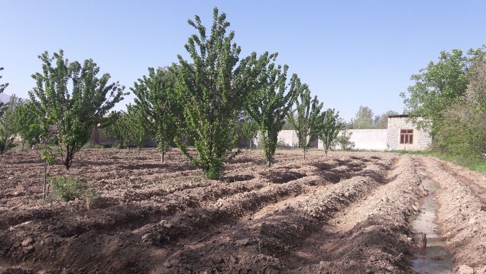 Ургут туман кенагас мфй 21 сотик уй жой