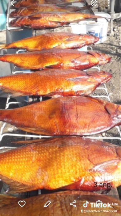 Продам лещ горячего копчения