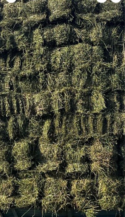 Продается Люцерна в тюках