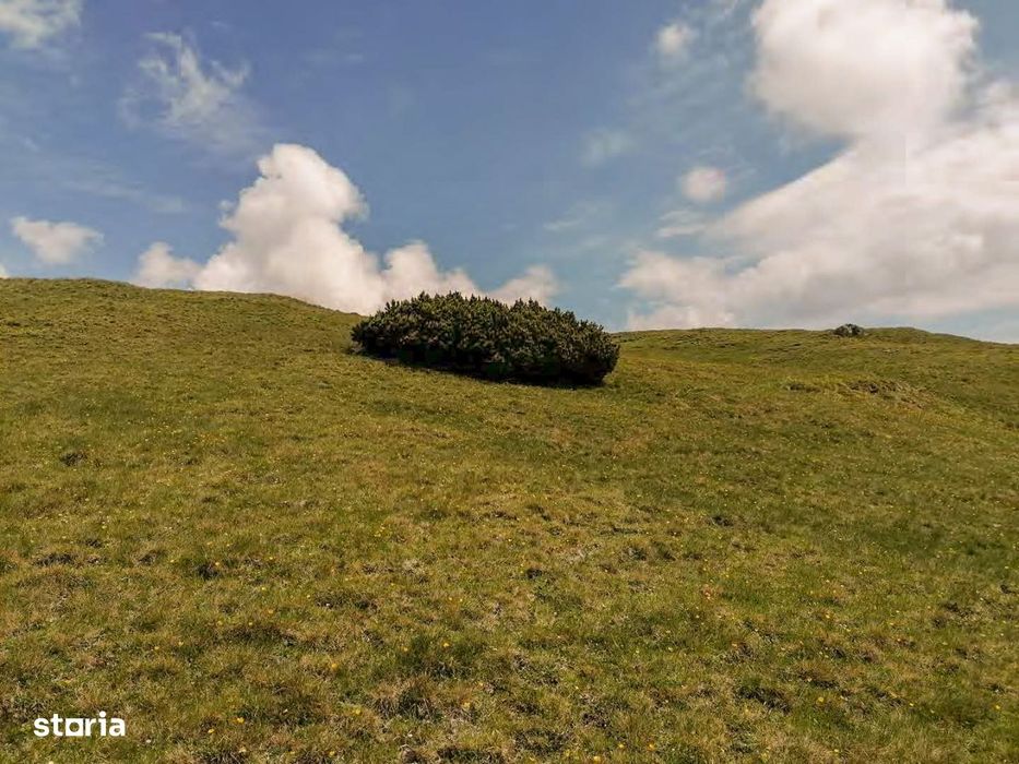Intravilan ZDD Parc Bucegi 300m² - 600 m² - 1866 m² variante rate/cash