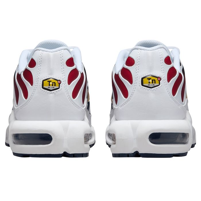 Nike Air Max Plus "PSG"