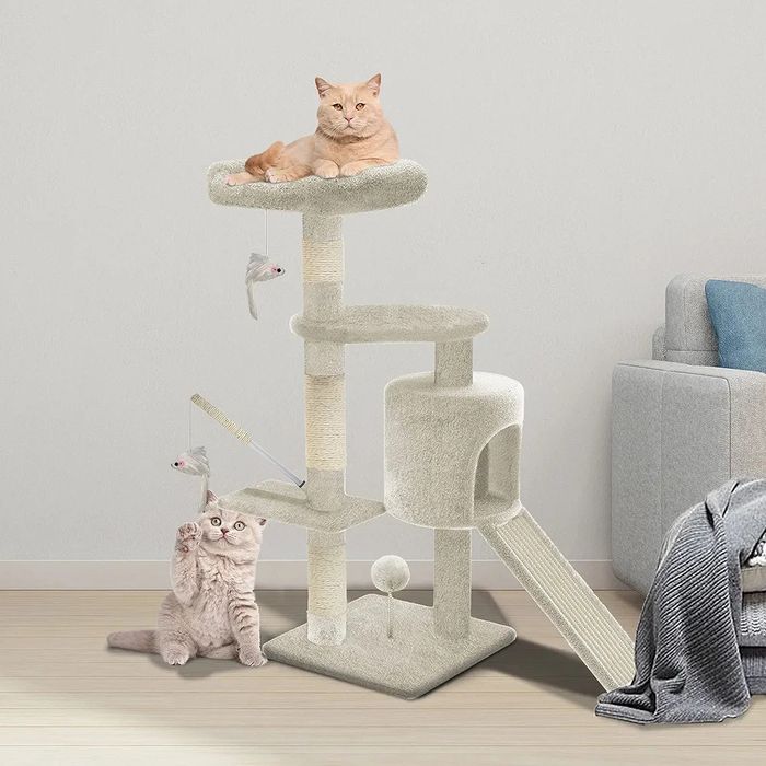 Котешка катерушка
