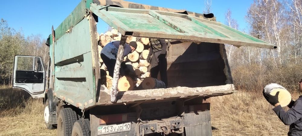 Продам дрова чуркованные