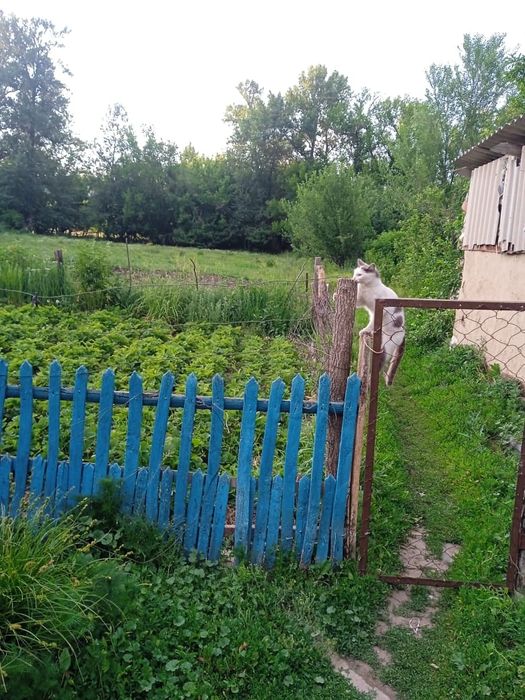 Продам дом, село Токжайлау