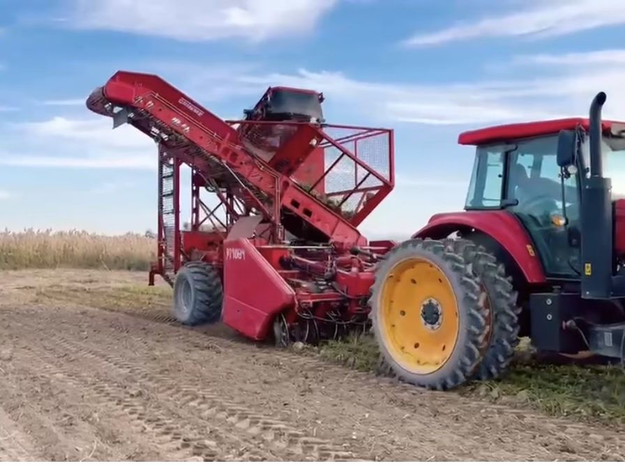 Grimme Rootster 604