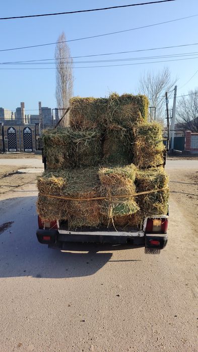 Пресс шөп таза жоңышка 100%