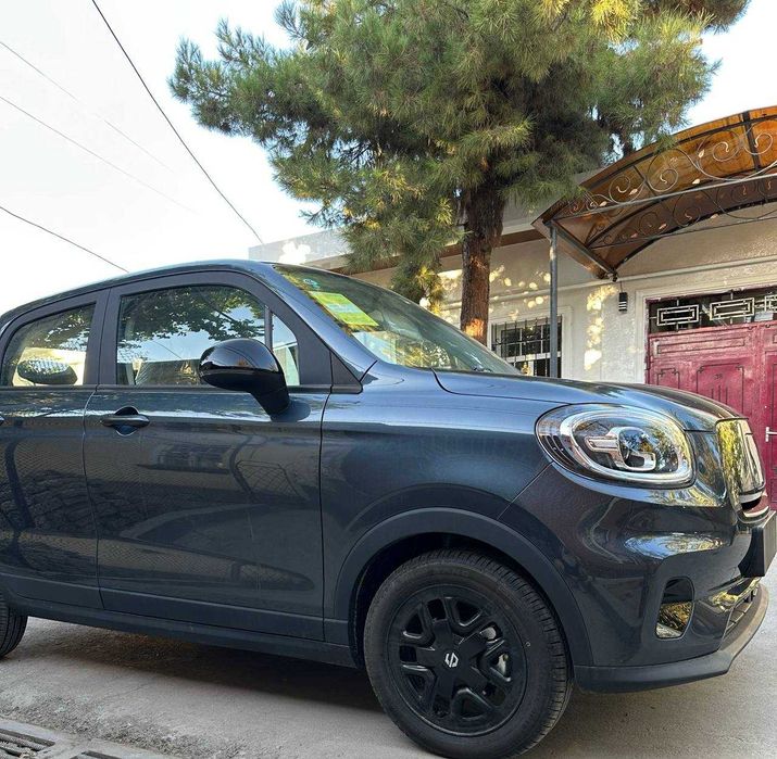 Leapmotor T03 300km/мокрый, офиц гарантия 100.000/3год,масла в наличии