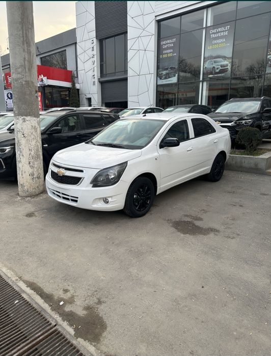 Midnicht Coblt masla bez