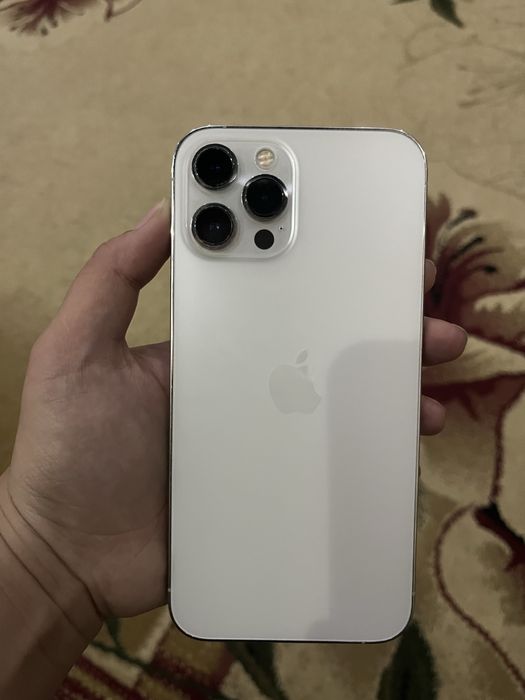 Apple 12 pro max