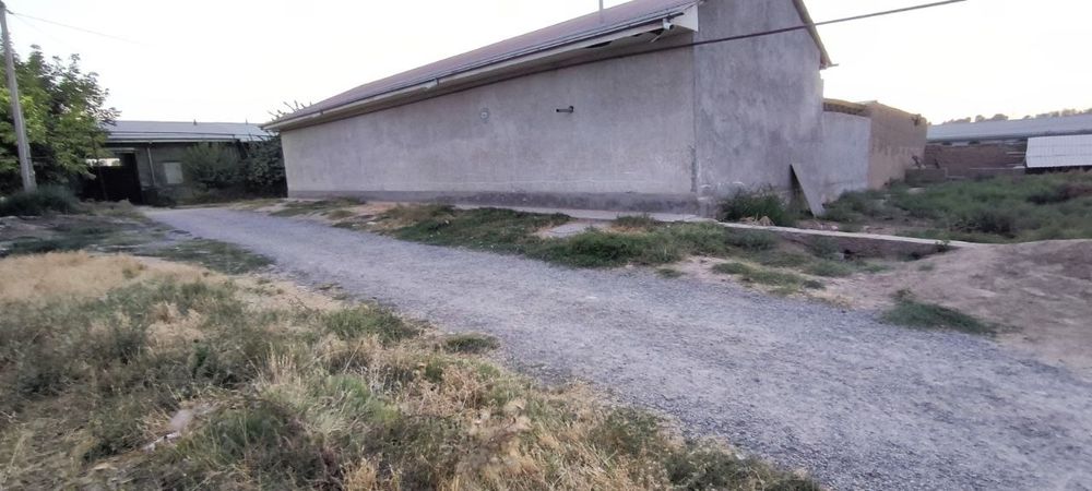 Назарбек тарнов бешкорганда йер