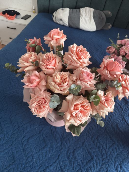 Продам красивые цветы