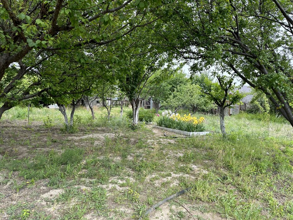 Дача в аренду Атырау