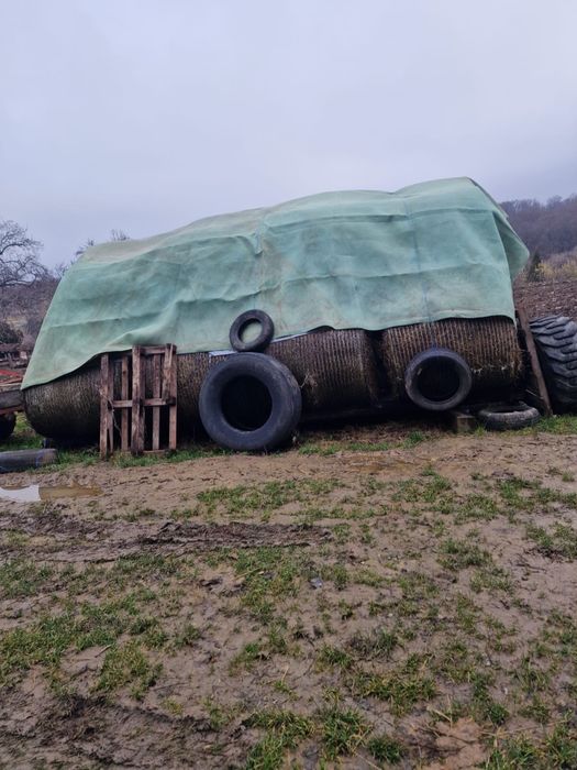 Vand baloate 120x120 si 60x70