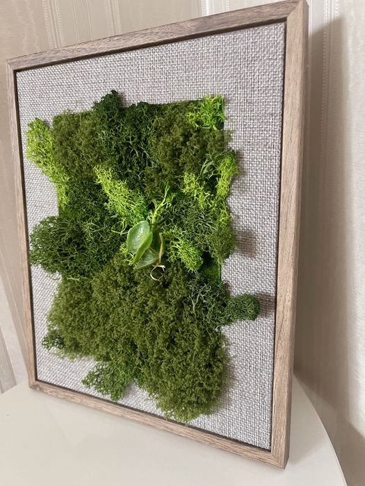 Зелена картина/пано от скандинавски мъх