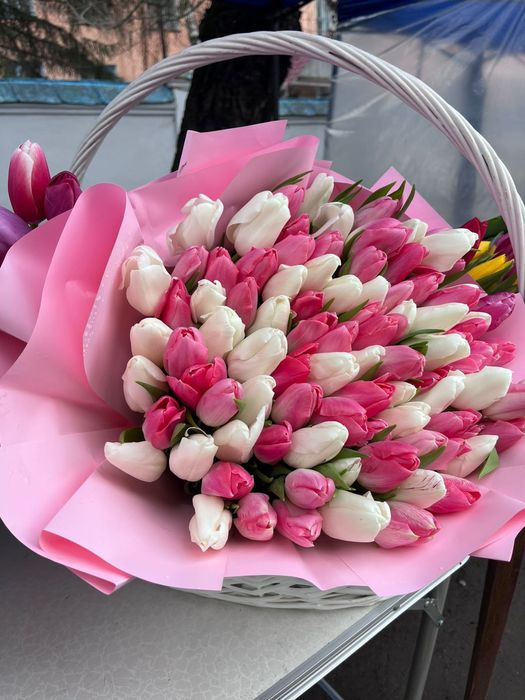 Тюльпан 101 штук