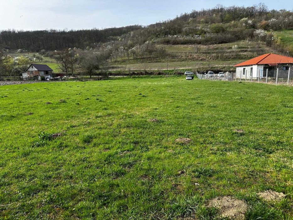 Teren intravilan 3100 mp cu lac propriu